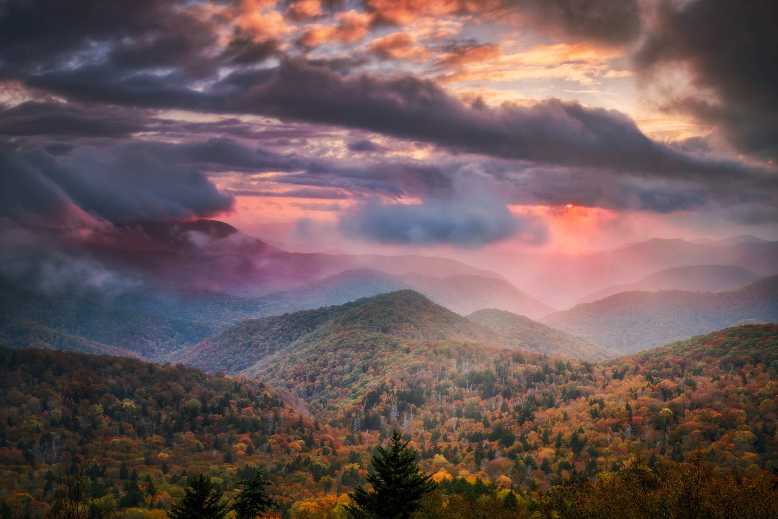 Love asheville from afar